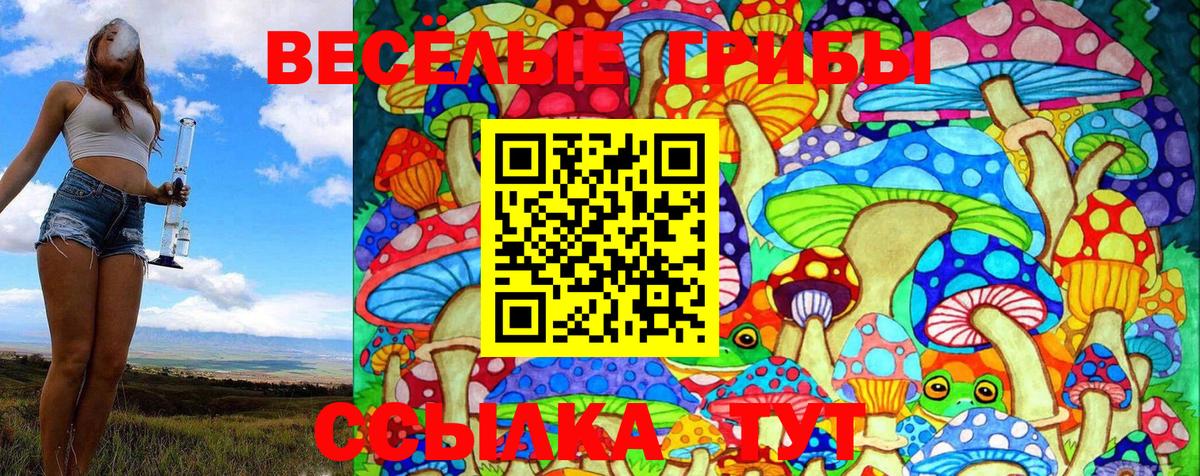 Волжск  Галлюциногенные грибы мицелий  Галлюциногенные грибы MAGIC MUSHROOMS  Вход с VPN 